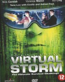 Storm Watch poster